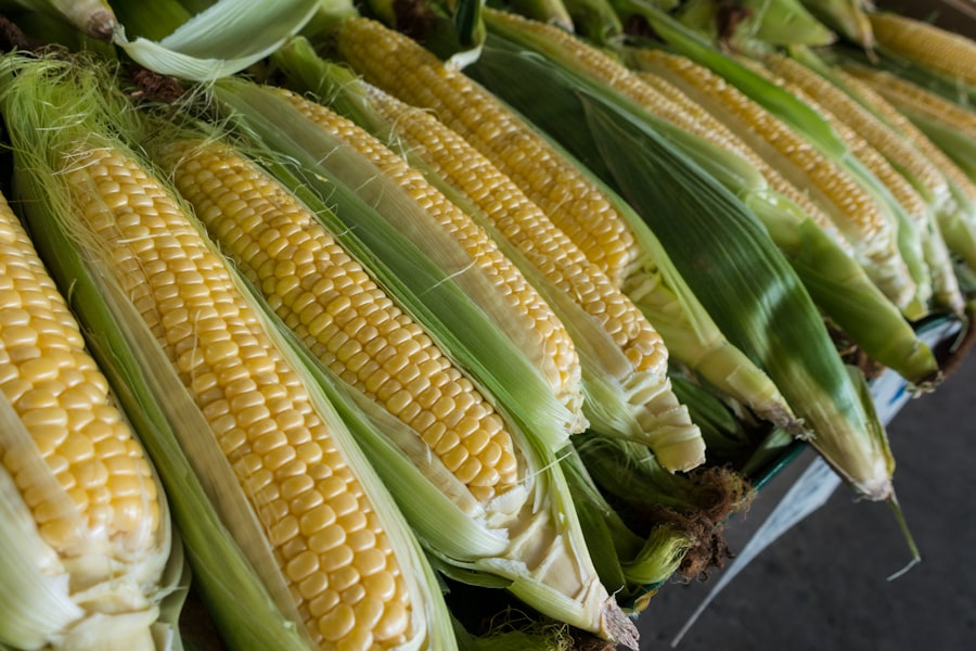 Yellow Maize